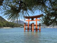 Miyajima &ndash; &copy; Sabine Letzybyll (Eberhardt TRAVEL)