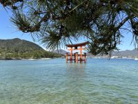 Miyajima &ndash; &copy; Sabine Letzybyll (Eberhardt TRAVEL)