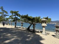 Miyajima &ndash; &copy; Sabine Letzybyll (Eberhardt TRAVEL)