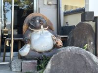 Tanuki &ndash; &copy; Sabine Letzybyll (Eberhardt TRAVEL)