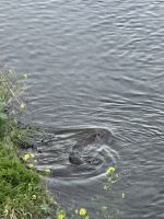 Kyoto - Leben im Fluss &ndash; &copy; Sabine Letzybyll (Eberhardt TRAVEL)