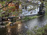 Kyoto &ndash; &copy; Sabine Letzybyll (Eberhardt TRAVEL)