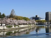 Kirschblüte in Hiroshima &ndash; &copy; Sabine Letzybyll (Eberhardt TRAVEL)