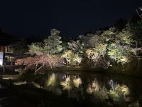 Tempel Illumination &ndash; &copy; Sabine Letzybyll (Eberhardt TRAVEL)