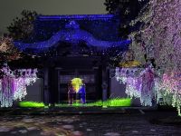 Tempel Illumination &ndash; &copy; Sabine Letzybyll (Eberhardt TRAVEL)