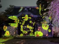 Tempel Illumination &ndash; &copy; Sabine Letzybyll (Eberhardt TRAVEL)