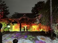 Tempel Illumination &ndash; &copy; Sabine Letzybyll (Eberhardt TRAVEL)