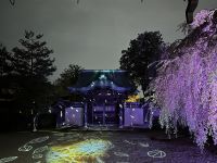 Tempel Illumination &ndash; &copy; Sabine Letzybyll (Eberhardt TRAVEL)