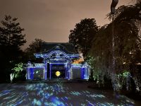 Tempel Illumination &ndash; &copy; Sabine Letzybyll (Eberhardt TRAVEL)