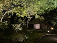 Kyoto &ndash; &copy; Sabine Letzybyll (Eberhardt TRAVEL)