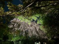 Yasaka-Schrein &ndash; &copy; Sabine Letzybyll (Eberhardt TRAVEL)