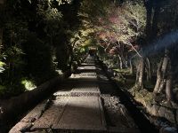 Yasaka-Schrein &ndash; &copy; Sabine Letzybyll (Eberhardt TRAVEL)