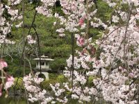 Okazaki Schrein &ndash; &copy; Sabine Letzybyll (Eberhardt TRAVEL)