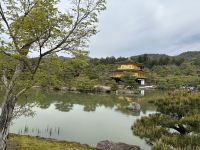 Kinkaku-ji - Goldener Pavillon &ndash; &copy; Sabine Letzybyll (Eberhardt TRAVEL)