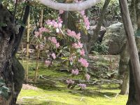 Kyoto - Ryoanji Tempel &ndash; &copy; Sabine Letzybyll (Eberhardt TRAVEL)