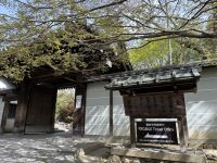 Kyoto - Ryoanji Tempel &ndash; &copy; Sabine Letzybyll (Eberhardt TRAVEL)