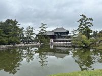 Nara &ndash; &copy; Sabine Letzybyll (Eberhardt TRAVEL)