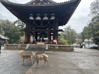 Nara &ndash; &copy; Sabine Letzybyll (Eberhardt TRAVEL)