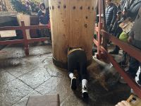 Nara &ndash; &copy; Sabine Letzybyll (Eberhardt TRAVEL)