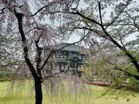 Nara &ndash; &copy; Sabine Letzybyll (Eberhardt TRAVEL)