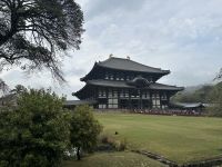 Nara &ndash; &copy; Sabine Letzybyll (Eberhardt TRAVEL)
