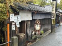 Tanuki &ndash; &copy; Sabine Letzybyll (Eberhardt TRAVEL)