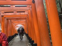 Tempel der Tausend Tore - Fushimi Inari Taisha &ndash; &copy; Sabine Letzybyll (Eberhardt TRAVEL)