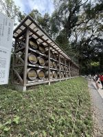 Stadtrundfahrt durch Tokio - Besuch des Meji Schrein &ndash; &copy; Jacob Spangenberg (Eberhardt TRAVEL)