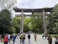 Stadtrundfahrt durch Tokio - Besuch des Meji Schrein &ndash; &copy; Jacob Spangenberg (Eberhardt TRAVEL)