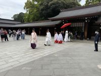 Stadtrundfahrt durch Tokio - Besuch des Meji Schrein &ndash; &copy; Jacob Spangenberg (Eberhardt TRAVEL)