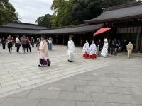 Stadtrundfahrt durch Tokio - Besuch des Meji Schrein &ndash; &copy; Jacob Spangenberg (Eberhardt TRAVEL)