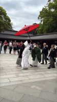 Stadtrundfahrt durch Tokio - Besuch des Meji Schrein &ndash; &copy; Jacob Spangenberg (Eberhardt TRAVEL)