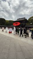 Stadtrundfahrt durch Tokio - Besuch des Meji Schrein &ndash; &copy; Jacob Spangenberg (Eberhardt TRAVEL)