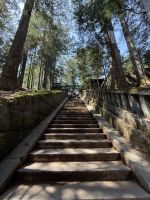 Rundgang durch die Tempelanlagen von Nikko &ndash; &copy; Jacob Spangenberg (Eberhardt TRAVEL)