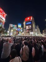 Shibuya Kreuzung &ndash; &copy; Jacob Spangenberg (Eberhardt TRAVEL)