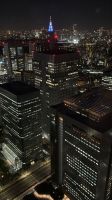 Blick vom Rathaus in Tokio &ndash; &copy; Jacob Spangenberg (Eberhardt TRAVEL)