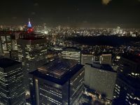 Blick vom Rathaus in Tokio &ndash; &copy; Jacob Spangenberg (Eberhardt TRAVEL)