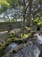 Besichtigung des Hasedera Tempel &ndash; &copy; Jacob Spangenberg (Eberhardt TRAVEL)