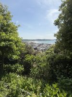 Besichtigung des Hasedera Tempel &ndash; &copy; Jacob Spangenberg (Eberhardt TRAVEL)