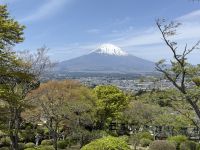 Besuch des Heiwa Parks und Aussichtspunkt &ndash; &copy; Jacob Spangenberg (Eberhardt TRAVEL)
