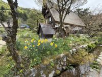 Rundgang durch Shirakawago &ndash; &copy; Jacob Spangenberg (Eberhardt TRAVEL)