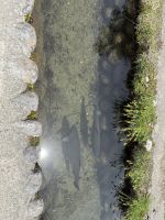 Rundgang durch Shirakawago mit Besuch der historischen Häuser &ndash; &copy; Jacob Spangenberg (Eberhardt TRAVEL)
