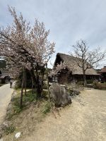 Rundgang durch Shirakawago mit Besuch der historischen Häuser &ndash; &copy; Jacob Spangenberg (Eberhardt TRAVEL)