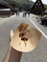 Rundgang durch Shirakawago mit Besuch der historischen Häuser &ndash; &copy; Jacob Spangenberg (Eberhardt TRAVEL)