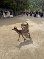&copy; Jacob Spangenberg (Eberhardt TRAVEL)