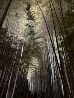 &copy; Jacob Spangenberg (Eberhardt TRAVEL)