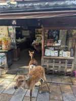 274. Nara