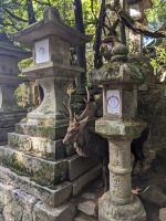 298. Nara