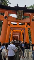 308 – Fushimi Inari