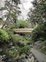 Gartenanlage am Hotel Grand New Prince Takanawa_2